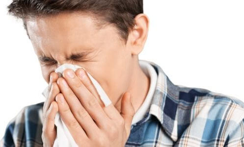 Air Filters and Allergies in Flat Rock, NC